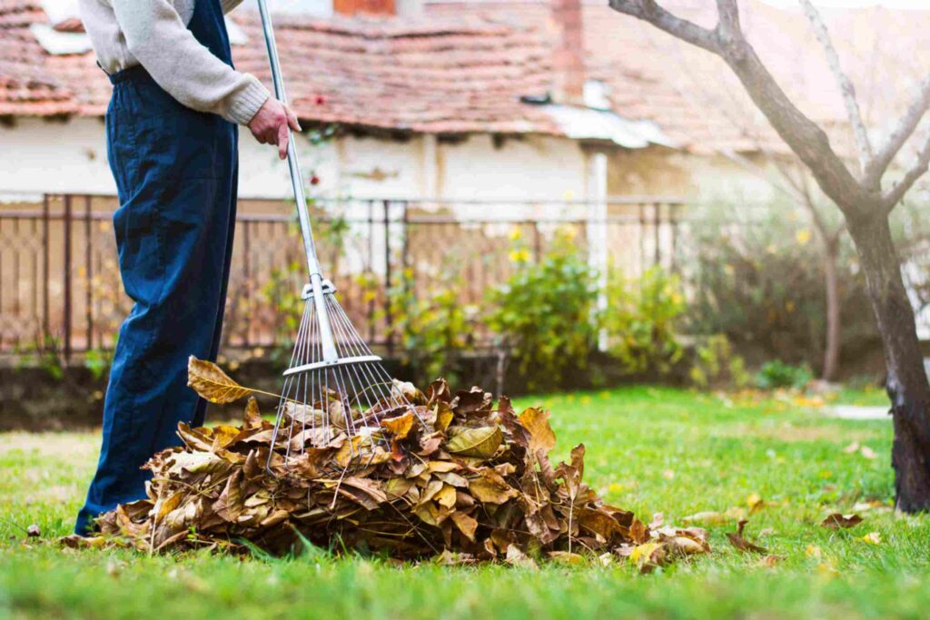 Garden clearance