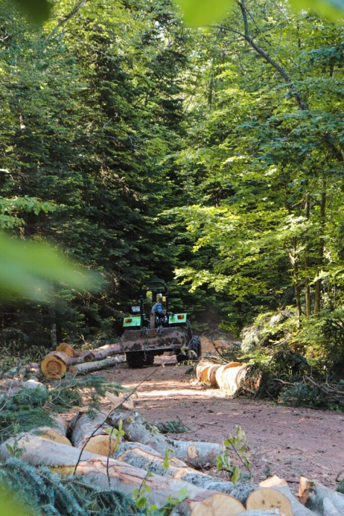 Site clearance