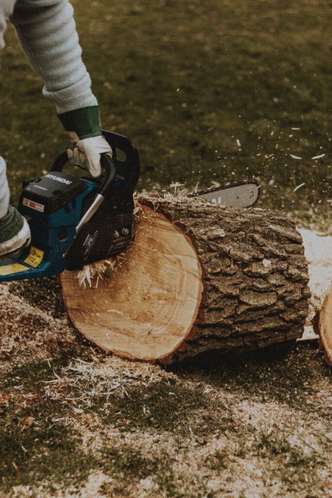 Tree removal