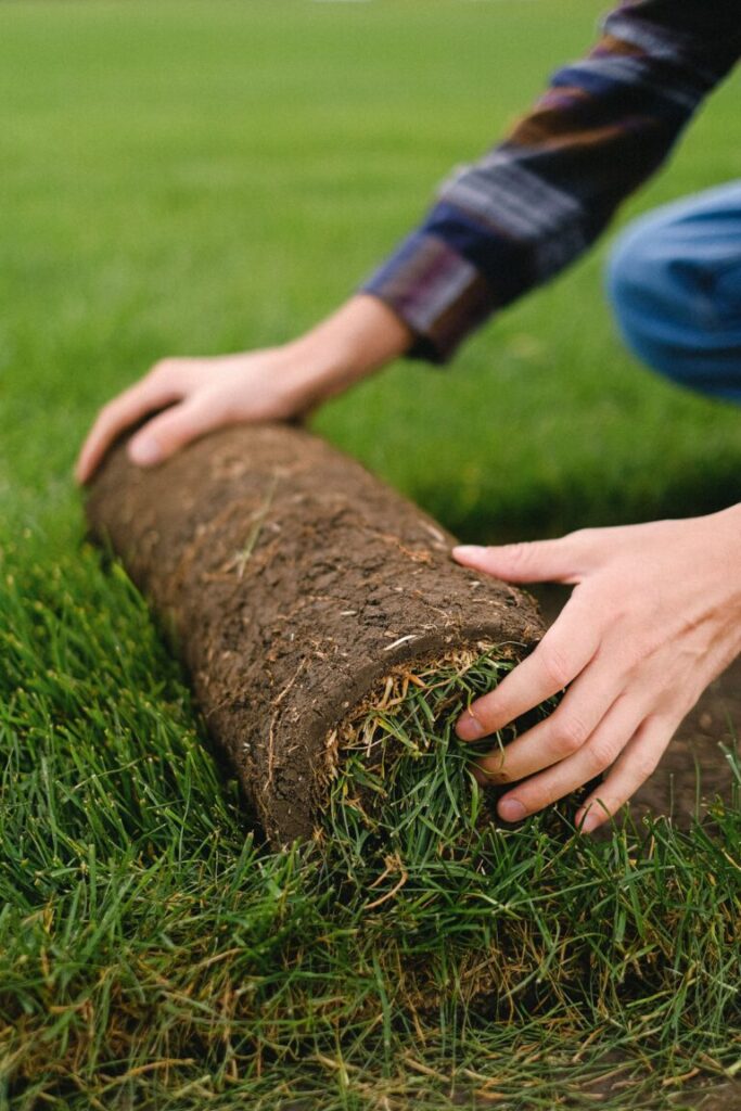 Turfing and sod